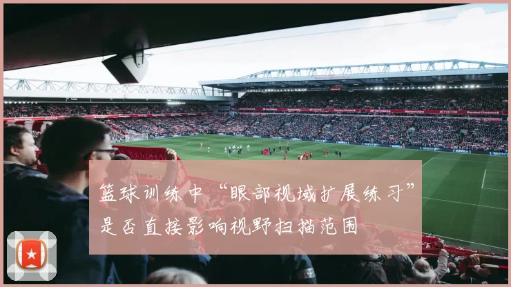 篮球训练中“眼部视域扩展练习”是否直接影响视野扫描范围