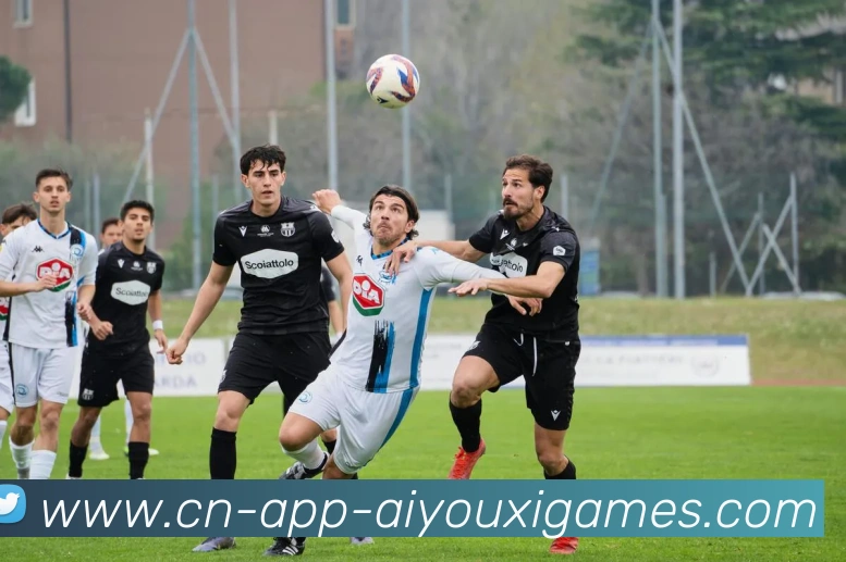 爱游戏服务体系